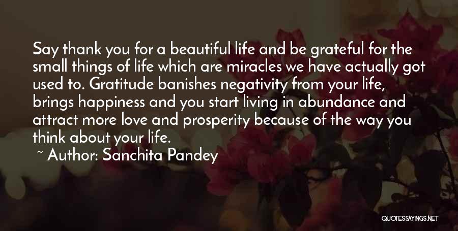 Sanchita Pandey Quotes: Say Thank You For A Beautiful Life And Be Grateful For The Small Things Of Life Which Are Miracles We