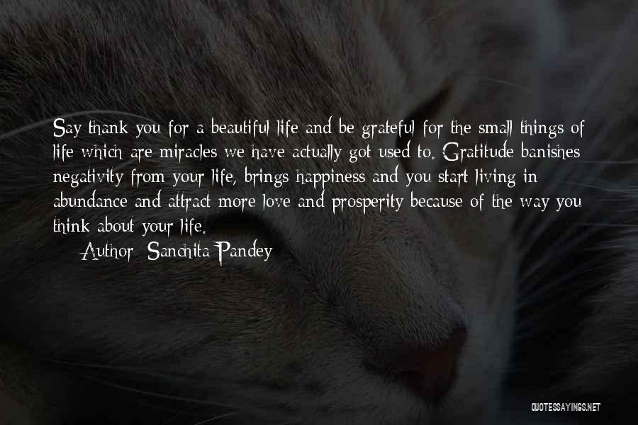 Sanchita Pandey Quotes: Say Thank You For A Beautiful Life And Be Grateful For The Small Things Of Life Which Are Miracles We