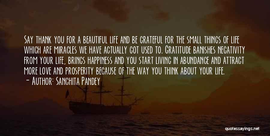 Sanchita Pandey Quotes: Say Thank You For A Beautiful Life And Be Grateful For The Small Things Of Life Which Are Miracles We