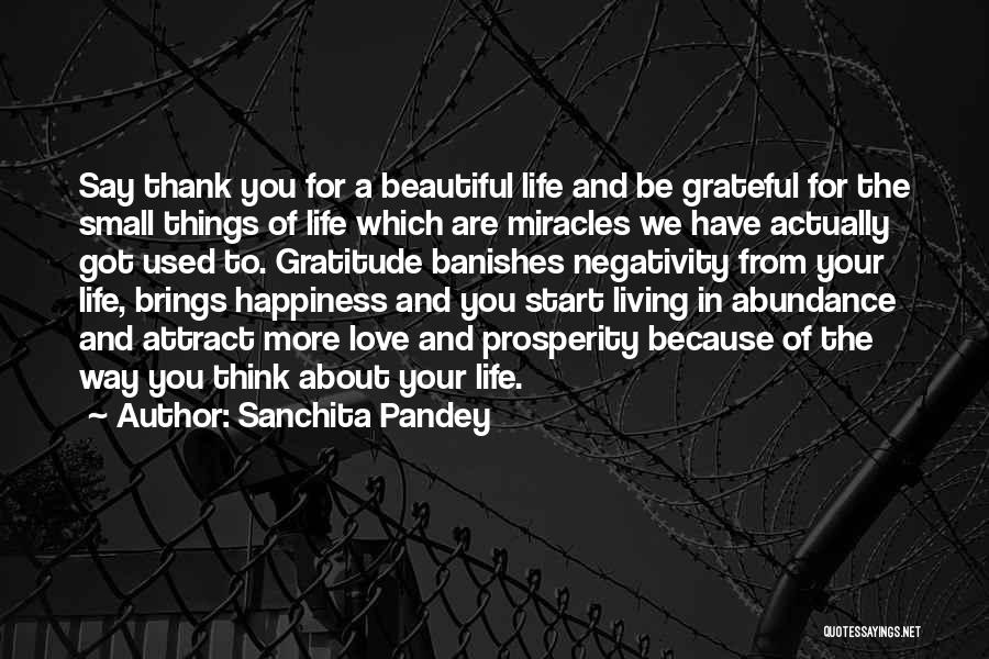 Sanchita Pandey Quotes: Say Thank You For A Beautiful Life And Be Grateful For The Small Things Of Life Which Are Miracles We