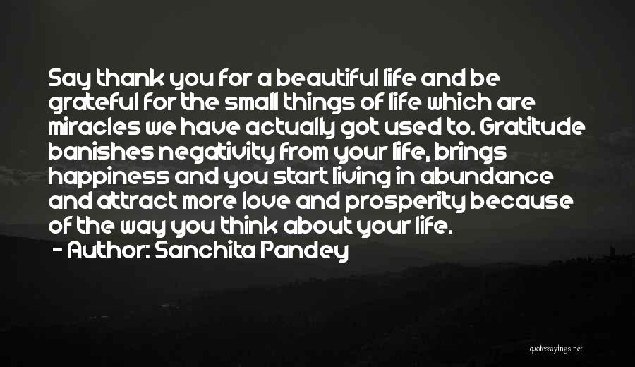 Sanchita Pandey Quotes: Say Thank You For A Beautiful Life And Be Grateful For The Small Things Of Life Which Are Miracles We