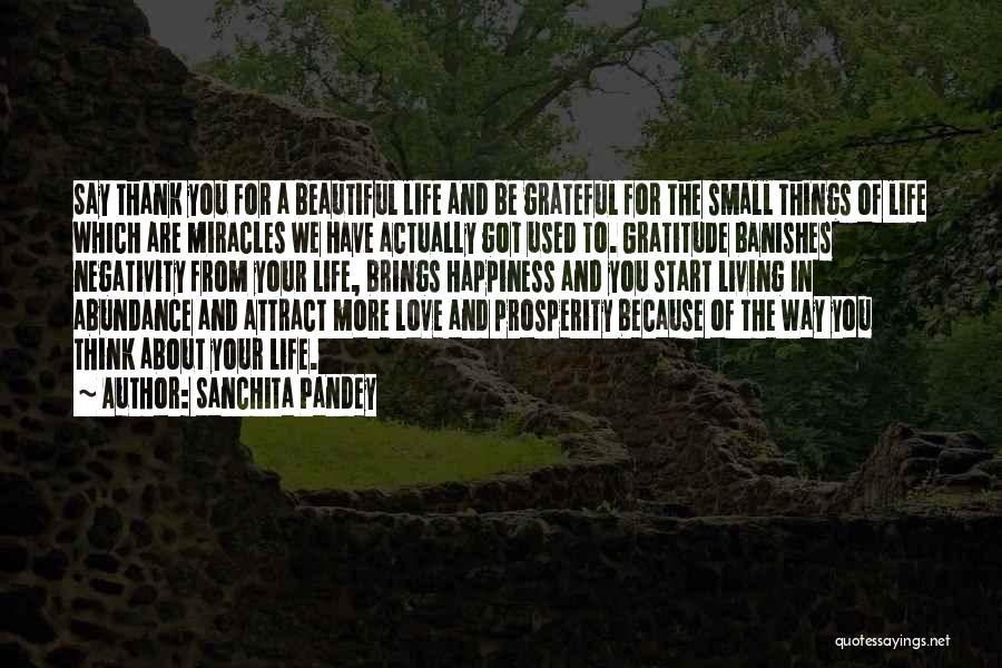 Sanchita Pandey Quotes: Say Thank You For A Beautiful Life And Be Grateful For The Small Things Of Life Which Are Miracles We