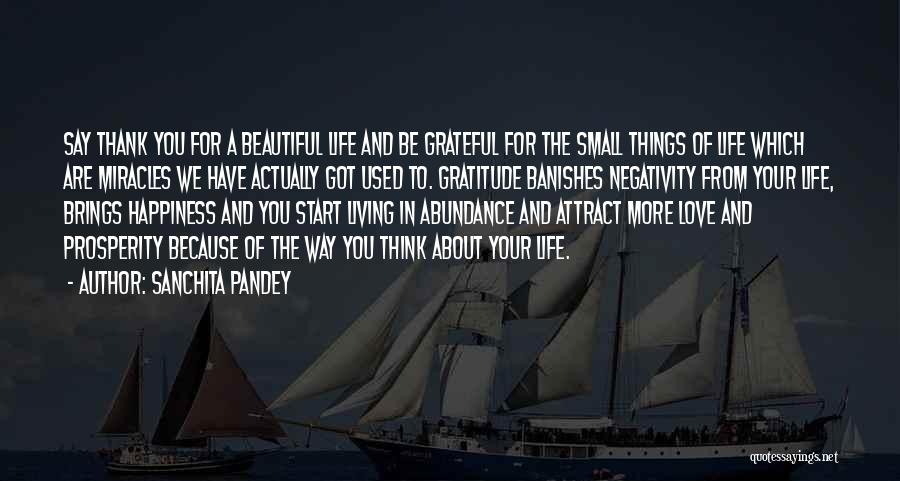 Sanchita Pandey Quotes: Say Thank You For A Beautiful Life And Be Grateful For The Small Things Of Life Which Are Miracles We