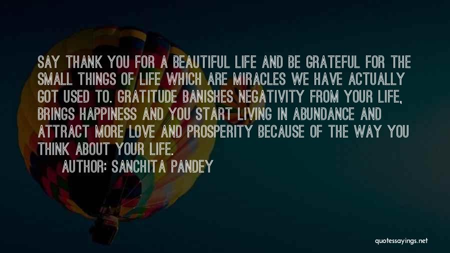 Sanchita Pandey Quotes: Say Thank You For A Beautiful Life And Be Grateful For The Small Things Of Life Which Are Miracles We