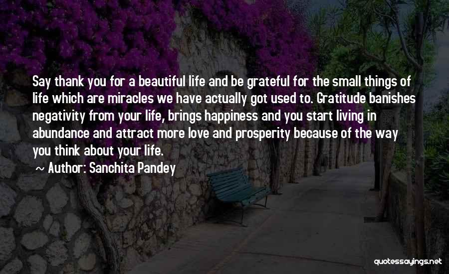 Sanchita Pandey Quotes: Say Thank You For A Beautiful Life And Be Grateful For The Small Things Of Life Which Are Miracles We