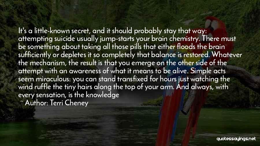 Terri Cheney Quotes: It's A Little-known Secret, And It Should Probably Stay That Way: Attempting Suicide Usually Jump-starts Your Brain Chemistry. There Must