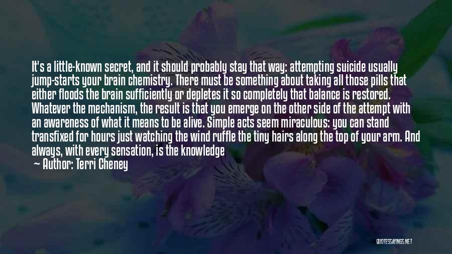 Terri Cheney Quotes: It's A Little-known Secret, And It Should Probably Stay That Way: Attempting Suicide Usually Jump-starts Your Brain Chemistry. There Must
