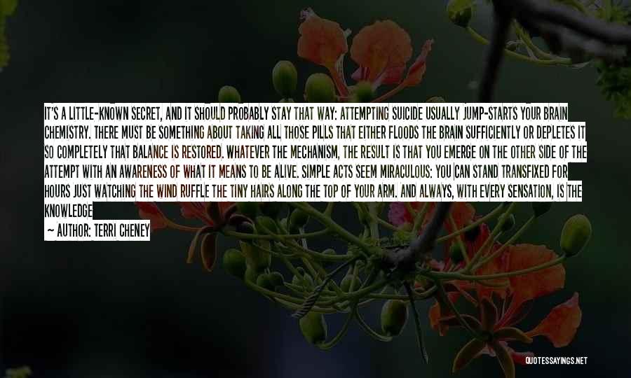 Terri Cheney Quotes: It's A Little-known Secret, And It Should Probably Stay That Way: Attempting Suicide Usually Jump-starts Your Brain Chemistry. There Must