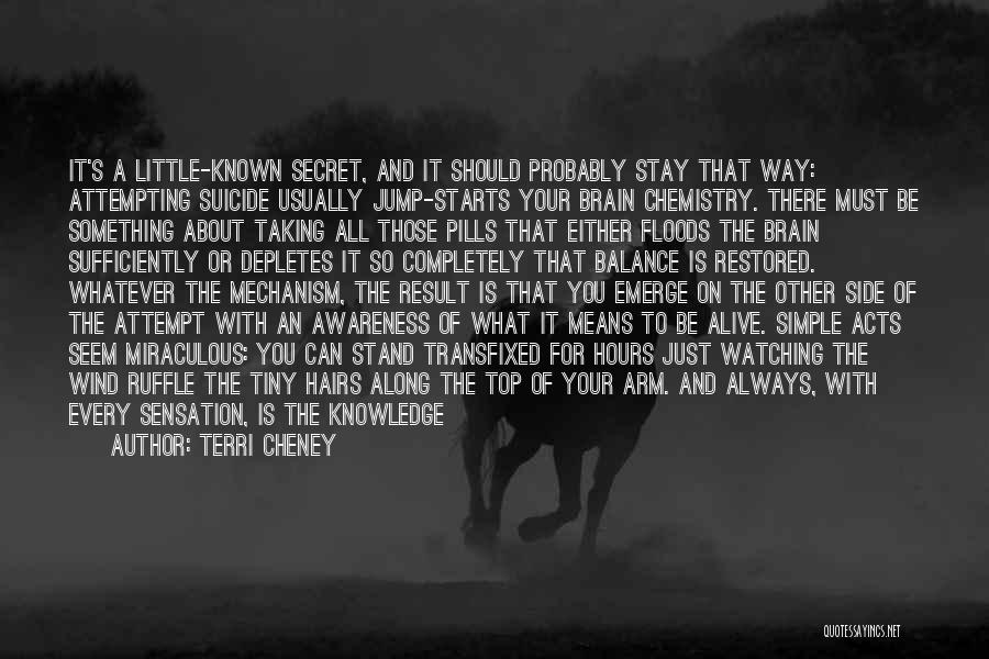 Terri Cheney Quotes: It's A Little-known Secret, And It Should Probably Stay That Way: Attempting Suicide Usually Jump-starts Your Brain Chemistry. There Must