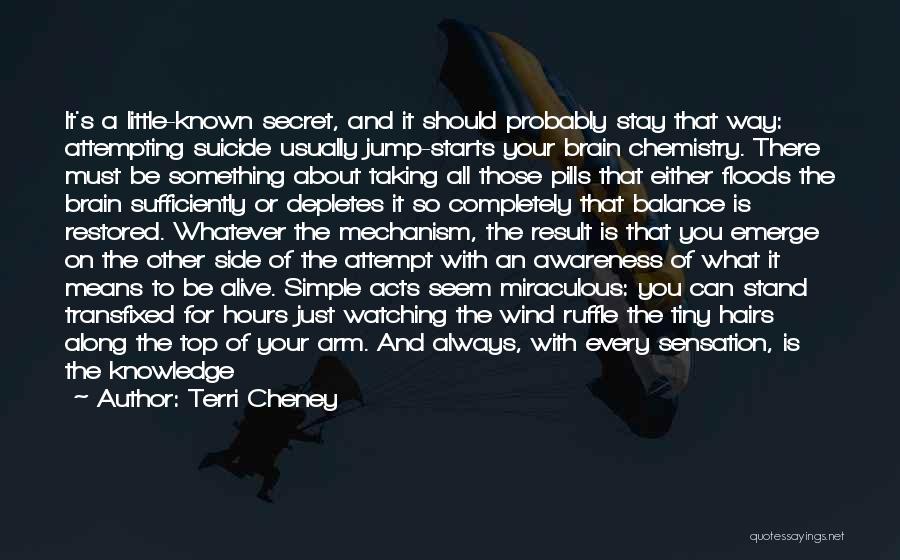 Terri Cheney Quotes: It's A Little-known Secret, And It Should Probably Stay That Way: Attempting Suicide Usually Jump-starts Your Brain Chemistry. There Must