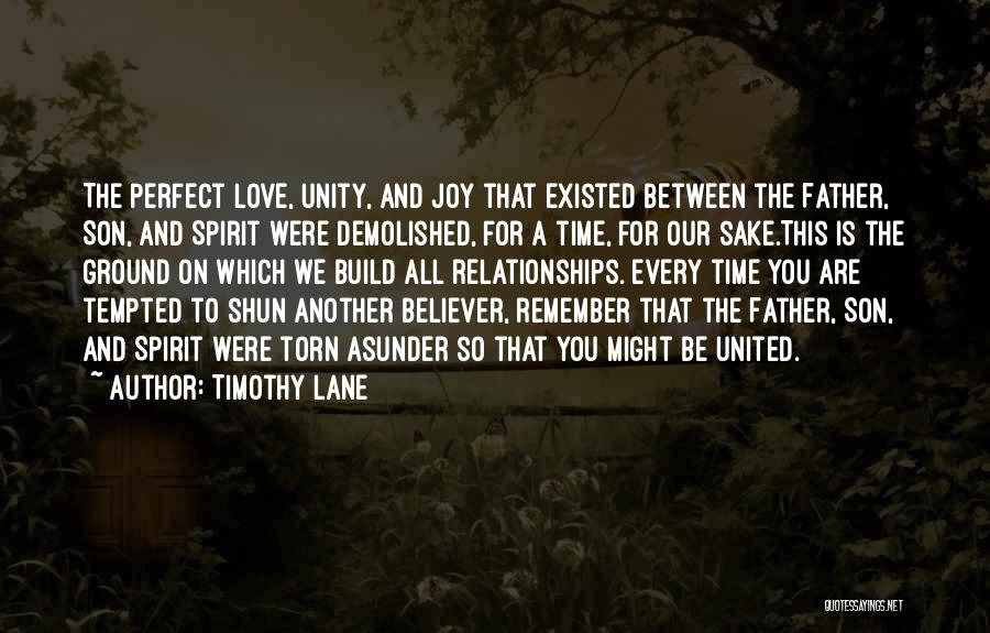 Timothy Lane Quotes: The Perfect Love, Unity, And Joy That Existed Between The Father, Son, And Spirit Were Demolished, For A Time, For