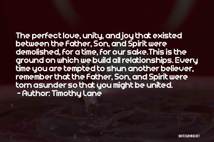 Timothy Lane Quotes: The Perfect Love, Unity, And Joy That Existed Between The Father, Son, And Spirit Were Demolished, For A Time, For