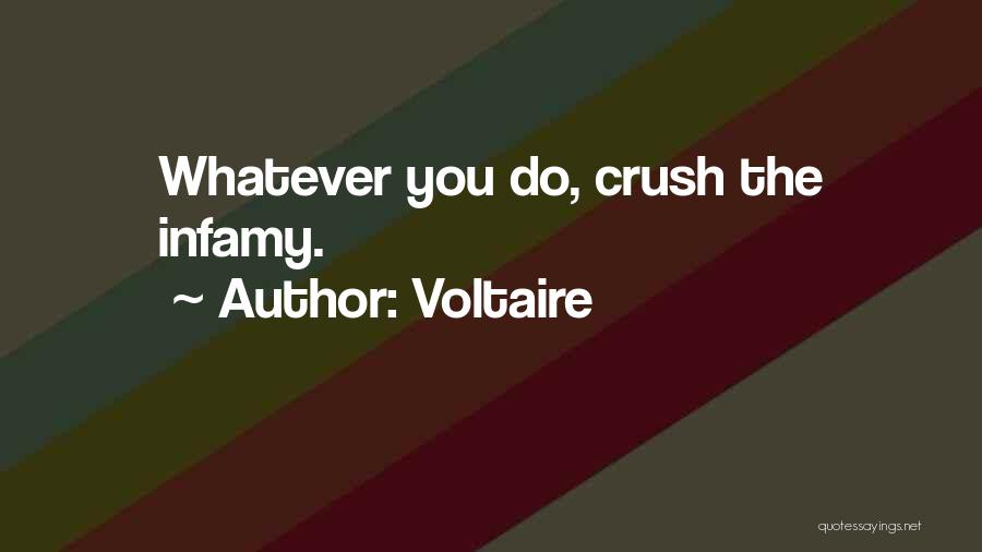 Voltaire Quotes: Whatever You Do, Crush The Infamy.