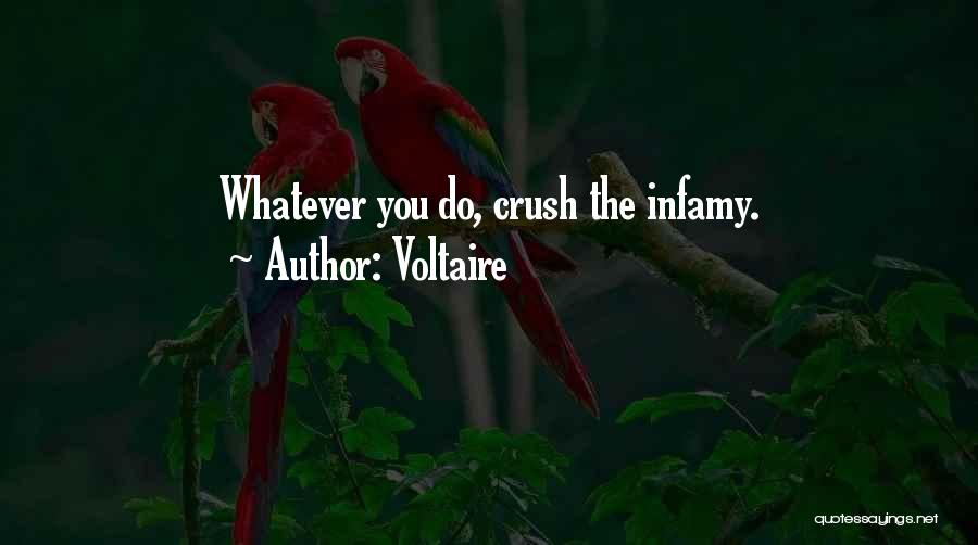 Voltaire Quotes: Whatever You Do, Crush The Infamy.