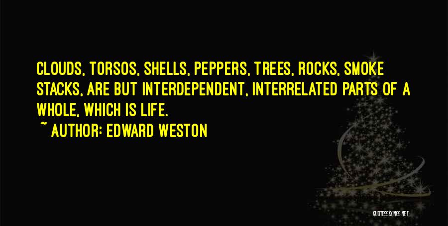 Edward Weston Quotes: Clouds, Torsos, Shells, Peppers, Trees, Rocks, Smoke Stacks, Are But Interdependent, Interrelated Parts Of A Whole, Which Is Life.