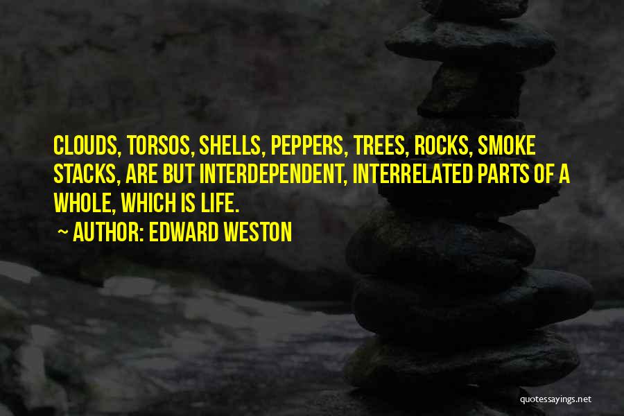 Edward Weston Quotes: Clouds, Torsos, Shells, Peppers, Trees, Rocks, Smoke Stacks, Are But Interdependent, Interrelated Parts Of A Whole, Which Is Life.