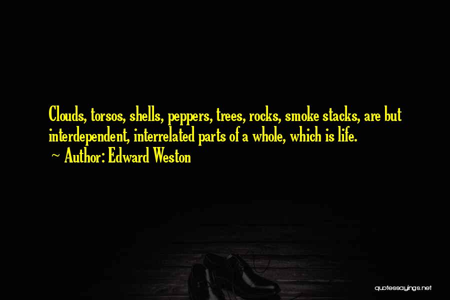 Edward Weston Quotes: Clouds, Torsos, Shells, Peppers, Trees, Rocks, Smoke Stacks, Are But Interdependent, Interrelated Parts Of A Whole, Which Is Life.