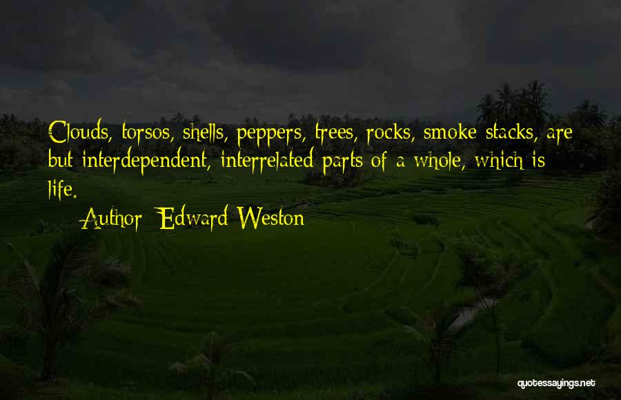 Edward Weston Quotes: Clouds, Torsos, Shells, Peppers, Trees, Rocks, Smoke Stacks, Are But Interdependent, Interrelated Parts Of A Whole, Which Is Life.