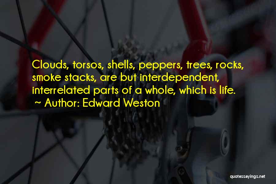 Edward Weston Quotes: Clouds, Torsos, Shells, Peppers, Trees, Rocks, Smoke Stacks, Are But Interdependent, Interrelated Parts Of A Whole, Which Is Life.