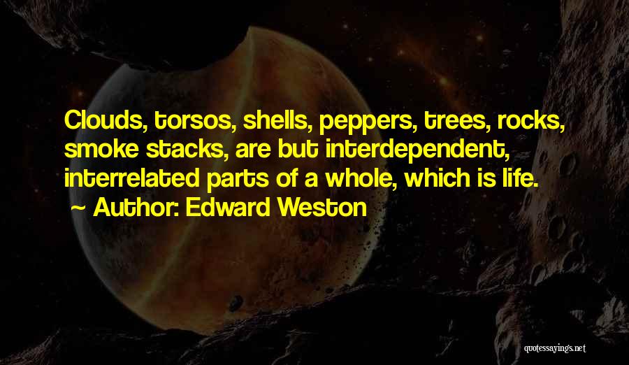 Edward Weston Quotes: Clouds, Torsos, Shells, Peppers, Trees, Rocks, Smoke Stacks, Are But Interdependent, Interrelated Parts Of A Whole, Which Is Life.