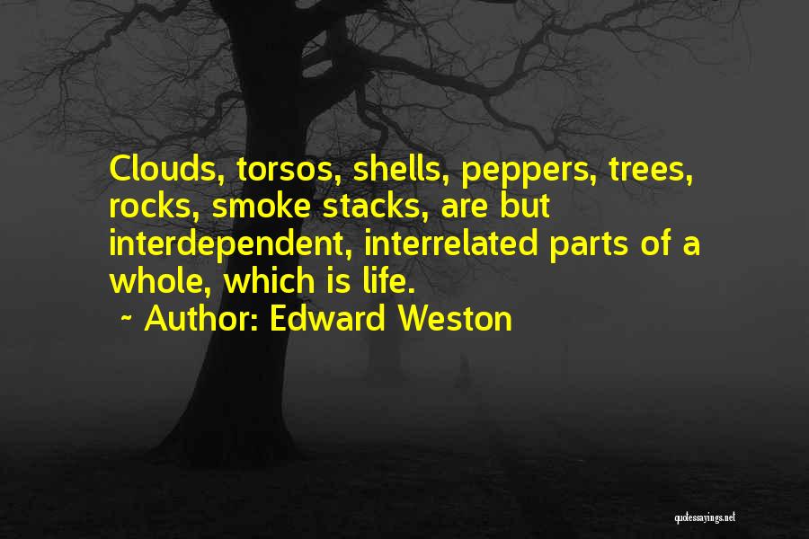 Edward Weston Quotes: Clouds, Torsos, Shells, Peppers, Trees, Rocks, Smoke Stacks, Are But Interdependent, Interrelated Parts Of A Whole, Which Is Life.