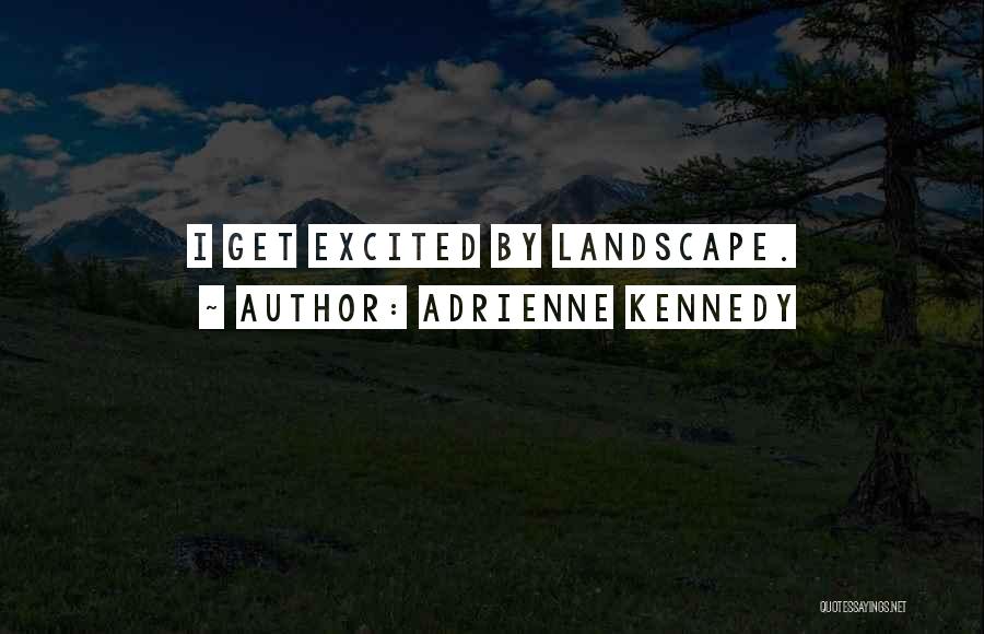 Adrienne Kennedy Quotes: I Get Excited By Landscape.