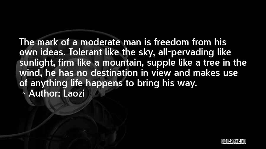 Laozi Quotes: The Mark Of A Moderate Man Is Freedom From His Own Ideas. Tolerant Like The Sky, All-pervading Like Sunlight, Firm