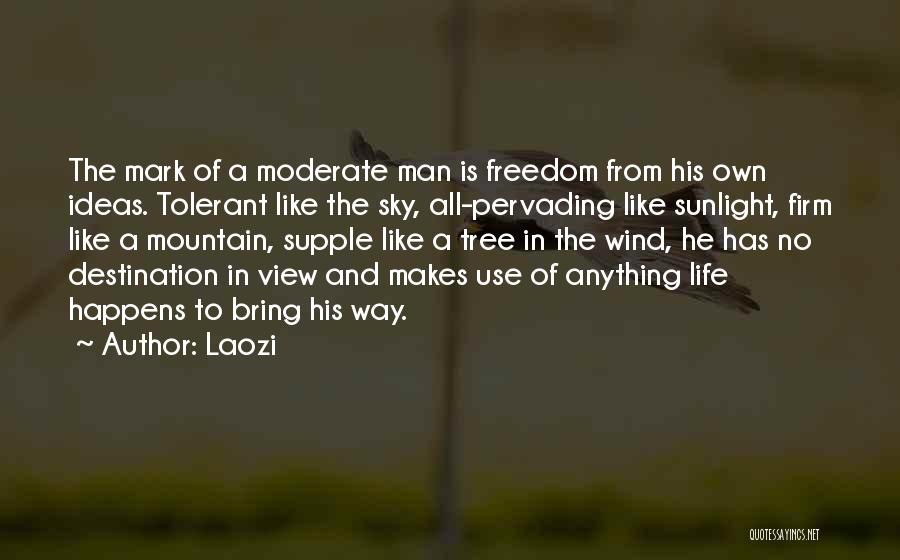 Laozi Quotes: The Mark Of A Moderate Man Is Freedom From His Own Ideas. Tolerant Like The Sky, All-pervading Like Sunlight, Firm