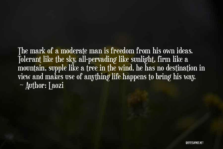 Laozi Quotes: The Mark Of A Moderate Man Is Freedom From His Own Ideas. Tolerant Like The Sky, All-pervading Like Sunlight, Firm