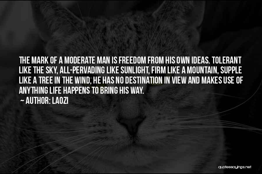 Laozi Quotes: The Mark Of A Moderate Man Is Freedom From His Own Ideas. Tolerant Like The Sky, All-pervading Like Sunlight, Firm