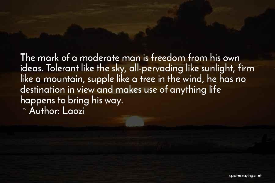 Laozi Quotes: The Mark Of A Moderate Man Is Freedom From His Own Ideas. Tolerant Like The Sky, All-pervading Like Sunlight, Firm