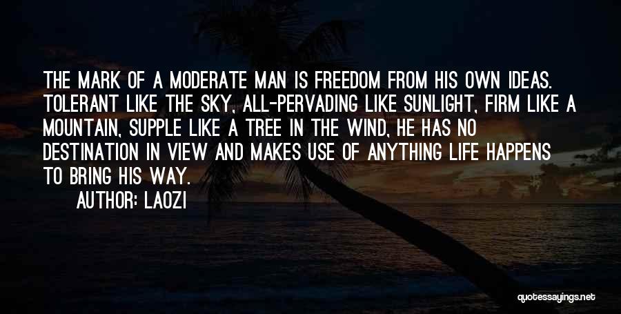 Laozi Quotes: The Mark Of A Moderate Man Is Freedom From His Own Ideas. Tolerant Like The Sky, All-pervading Like Sunlight, Firm