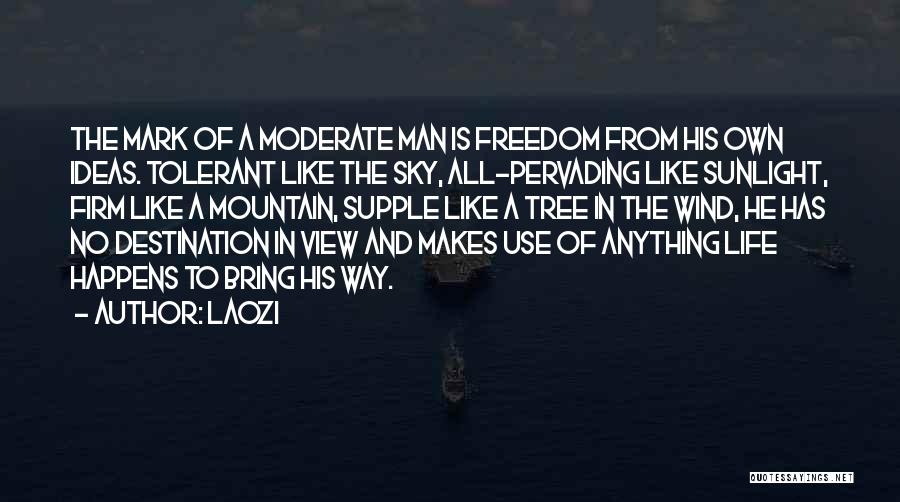 Laozi Quotes: The Mark Of A Moderate Man Is Freedom From His Own Ideas. Tolerant Like The Sky, All-pervading Like Sunlight, Firm