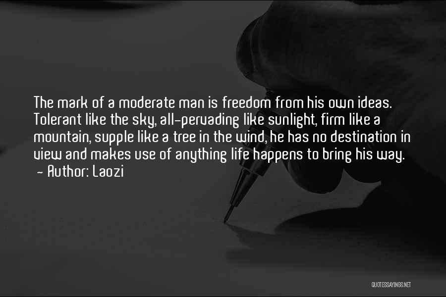 Laozi Quotes: The Mark Of A Moderate Man Is Freedom From His Own Ideas. Tolerant Like The Sky, All-pervading Like Sunlight, Firm