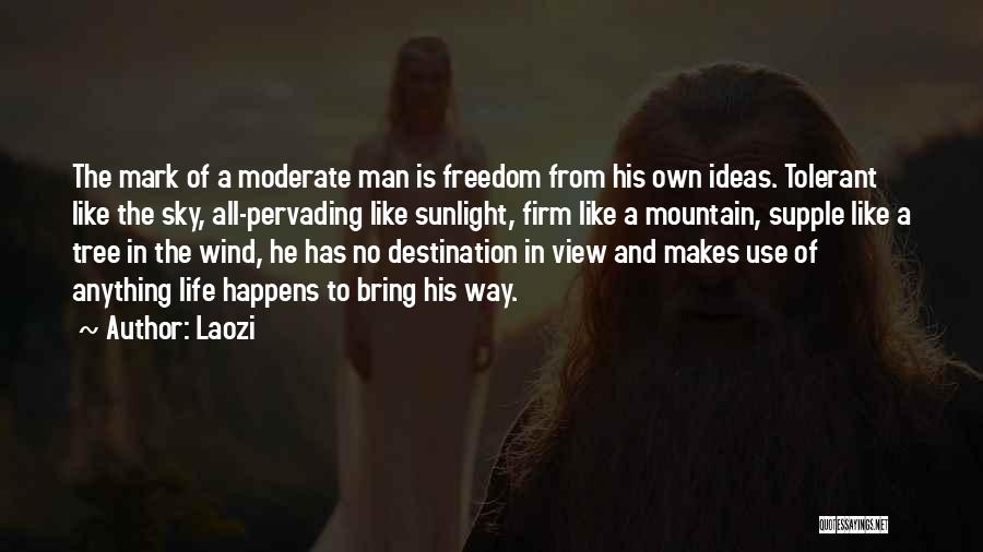 Laozi Quotes: The Mark Of A Moderate Man Is Freedom From His Own Ideas. Tolerant Like The Sky, All-pervading Like Sunlight, Firm