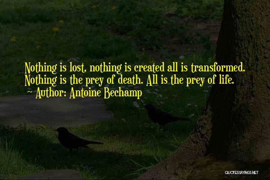 Antoine Bechamp Quotes: Nothing Is Lost, Nothing Is Created All Is Transformed. Nothing Is The Prey Of Death. All Is The Prey Of