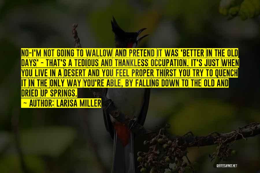 Larisa Miller Quotes: No-i'm Not Going To Wallow And Pretend It Was 'better In The Old Days' - That's A Tedious And Thankless