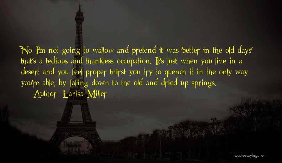 Larisa Miller Quotes: No-i'm Not Going To Wallow And Pretend It Was 'better In The Old Days' - That's A Tedious And Thankless