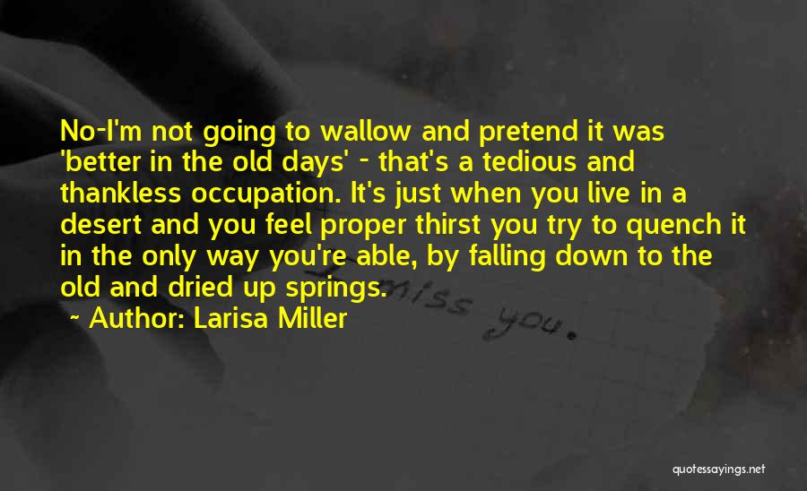 Larisa Miller Quotes: No-i'm Not Going To Wallow And Pretend It Was 'better In The Old Days' - That's A Tedious And Thankless