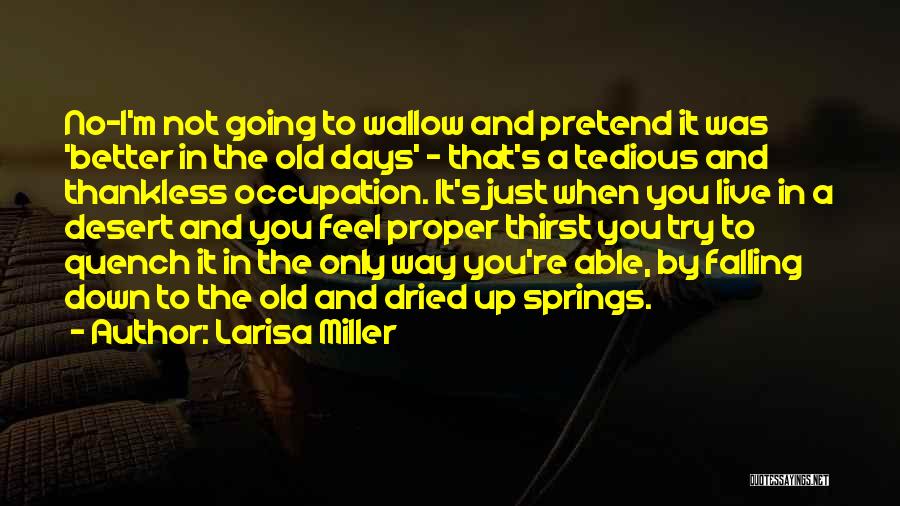 Larisa Miller Quotes: No-i'm Not Going To Wallow And Pretend It Was 'better In The Old Days' - That's A Tedious And Thankless