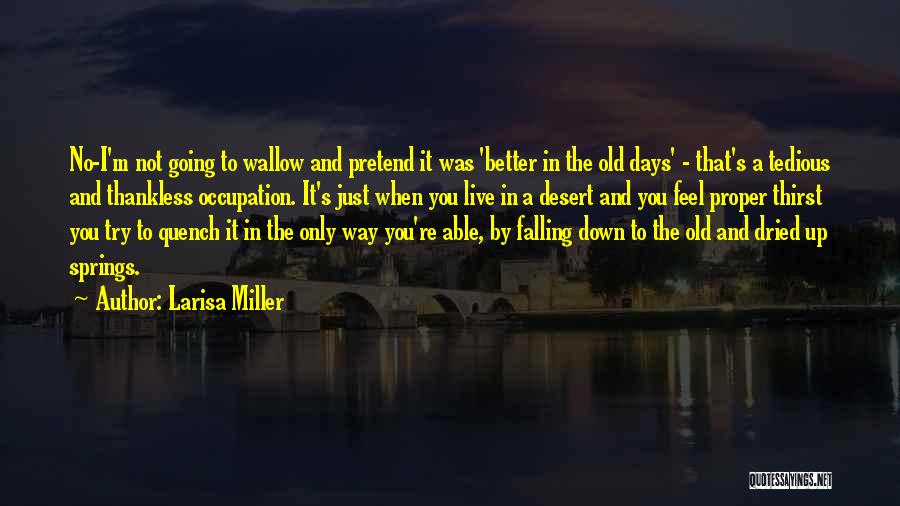 Larisa Miller Quotes: No-i'm Not Going To Wallow And Pretend It Was 'better In The Old Days' - That's A Tedious And Thankless