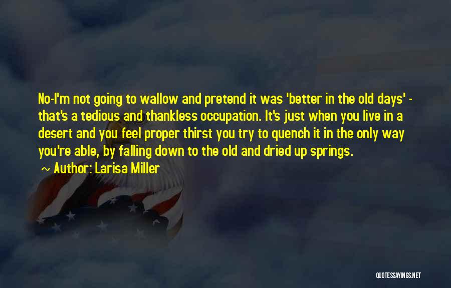 Larisa Miller Quotes: No-i'm Not Going To Wallow And Pretend It Was 'better In The Old Days' - That's A Tedious And Thankless