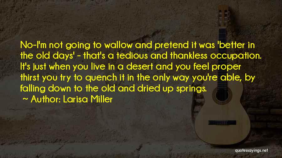 Larisa Miller Quotes: No-i'm Not Going To Wallow And Pretend It Was 'better In The Old Days' - That's A Tedious And Thankless