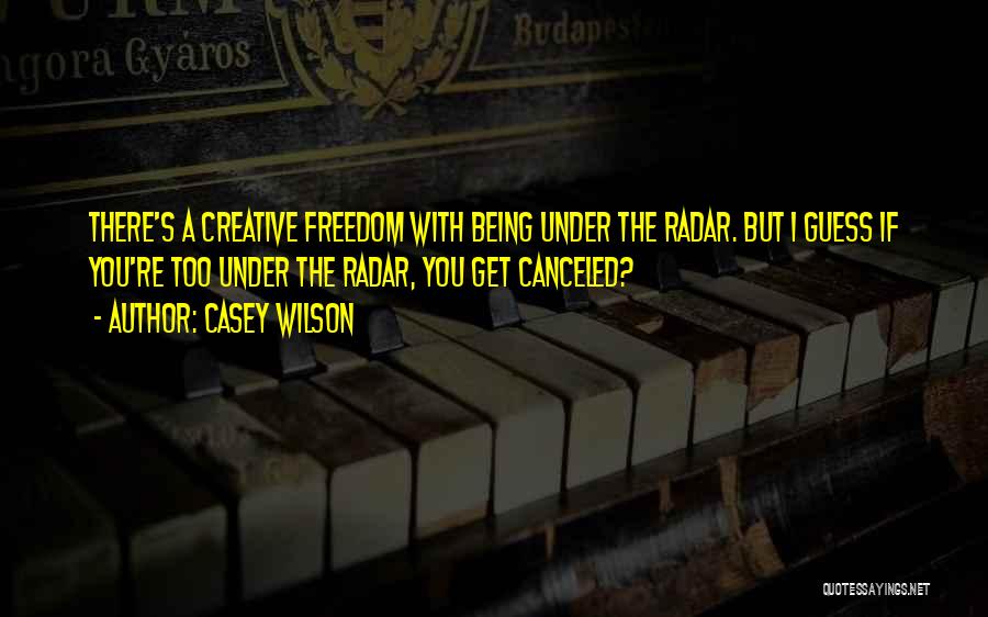 Casey Wilson Quotes: There's A Creative Freedom With Being Under The Radar. But I Guess If You're Too Under The Radar, You Get