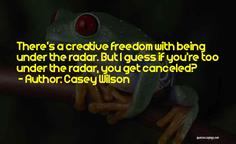 Casey Wilson Quotes: There's A Creative Freedom With Being Under The Radar. But I Guess If You're Too Under The Radar, You Get
