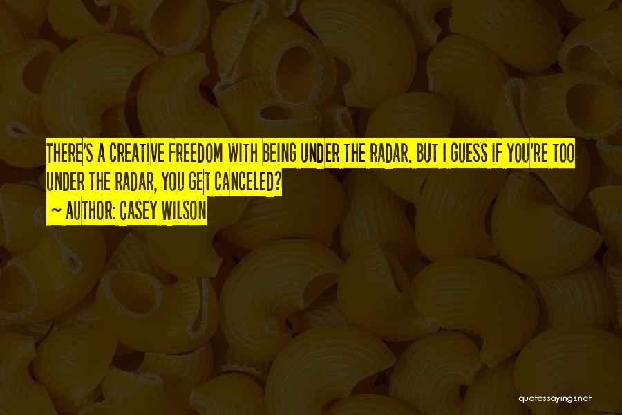 Casey Wilson Quotes: There's A Creative Freedom With Being Under The Radar. But I Guess If You're Too Under The Radar, You Get