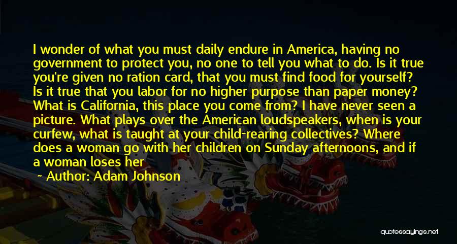 Adam Johnson Quotes: I Wonder Of What You Must Daily Endure In America, Having No Government To Protect You, No One To Tell