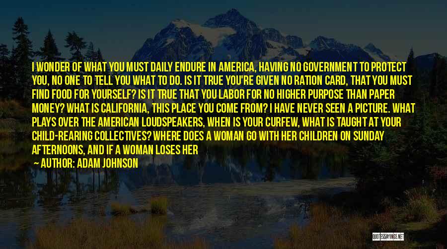 Adam Johnson Quotes: I Wonder Of What You Must Daily Endure In America, Having No Government To Protect You, No One To Tell