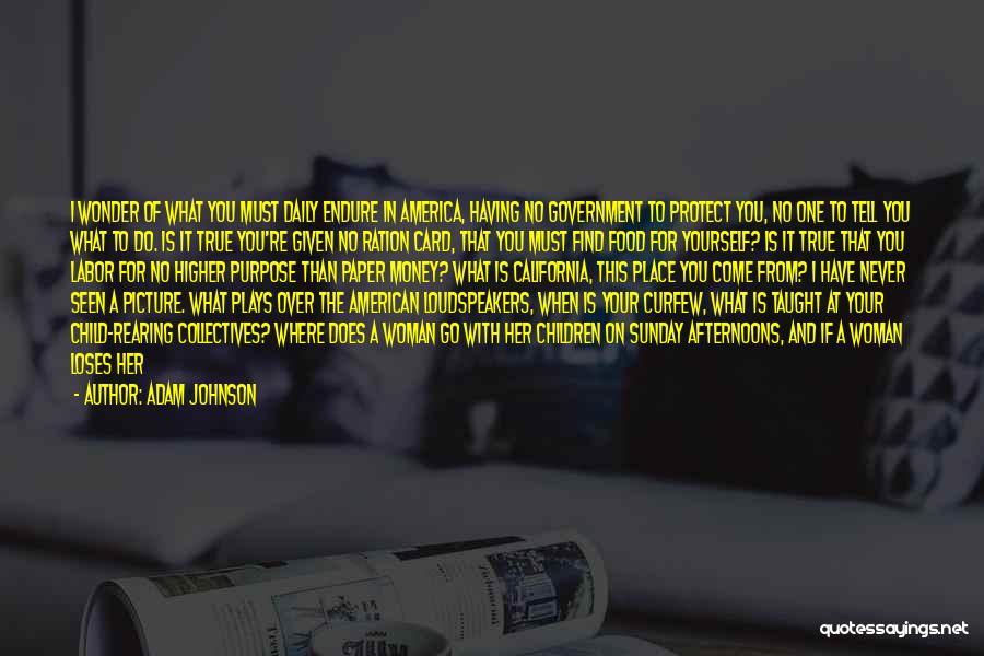 Adam Johnson Quotes: I Wonder Of What You Must Daily Endure In America, Having No Government To Protect You, No One To Tell