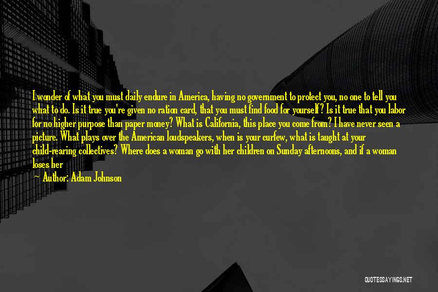 Adam Johnson Quotes: I Wonder Of What You Must Daily Endure In America, Having No Government To Protect You, No One To Tell
